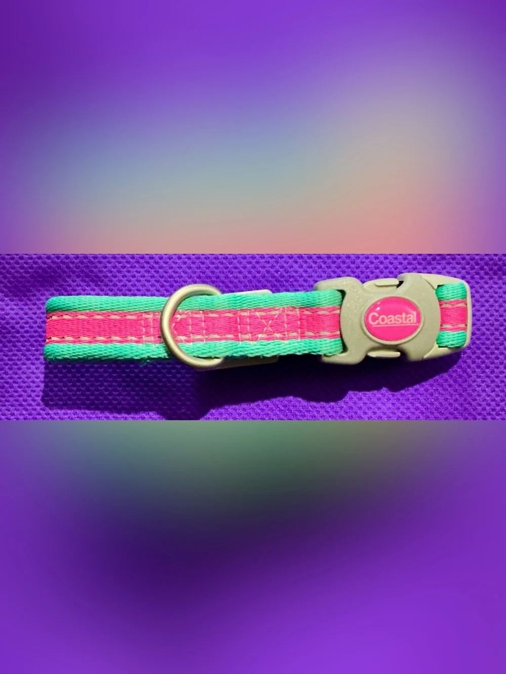 🐾 Coastal Bright Pink & Teal Adjustable Pet Collar with Metal D-Ring